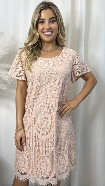 Mindy Dress: Mindy is the sweetest little lace shift dress
Features:

Shift style
Lace overlay
Button at back of neck

Sizing: This item is true to size. Danika is wearing a size - Ciao Bella Dresses 